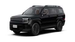 SANTAFE 2.5 EXCLUSIVE